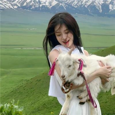 无耻之徒第四季